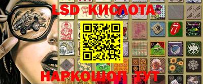 прущие грибы Бердск