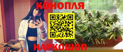 мяу мяу мука Аша