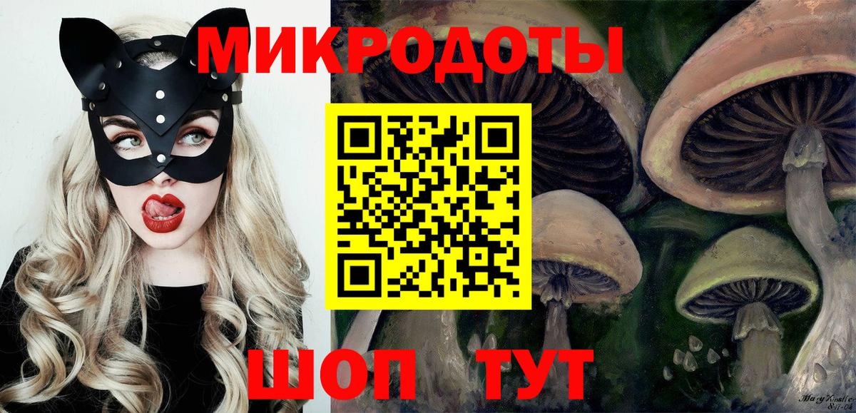 Галлюциногенные грибы Psilocybe Екатеринбург